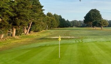 Wareham Golf Club has been forced to reroute its 18th hole after neighbors complained about wayward tee shots.