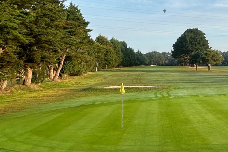 Wareham Golf Club has been forced to reroute its 18th hole after neighbors complained about wayward tee shots.