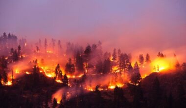 Global Warming Has Kicked Into Overdrive, Scientists Warn