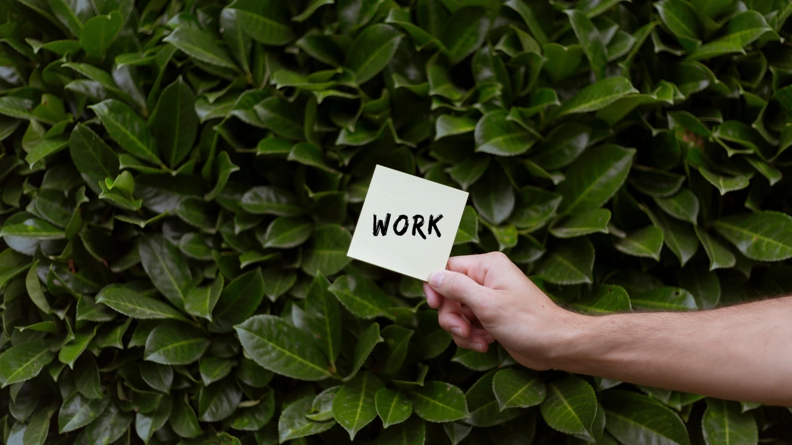 Some companies now recognise the value of employee well-being by offering flexible work options, unpaid leave, or sabbatical-style programs. Although micro-retirement is still uncommon in many workplaces, evolving work cultures are encouraging conversations about healthier career paths and work-life balance. Some companies now recognise the value of employee well-being by offering flexible work options, unpaid leave, or sabbatical-style programs. Although micro-retirement is still uncommon in many workplaces, evolving work cultures are encouraging conversations about healthier career paths and work-life balance.