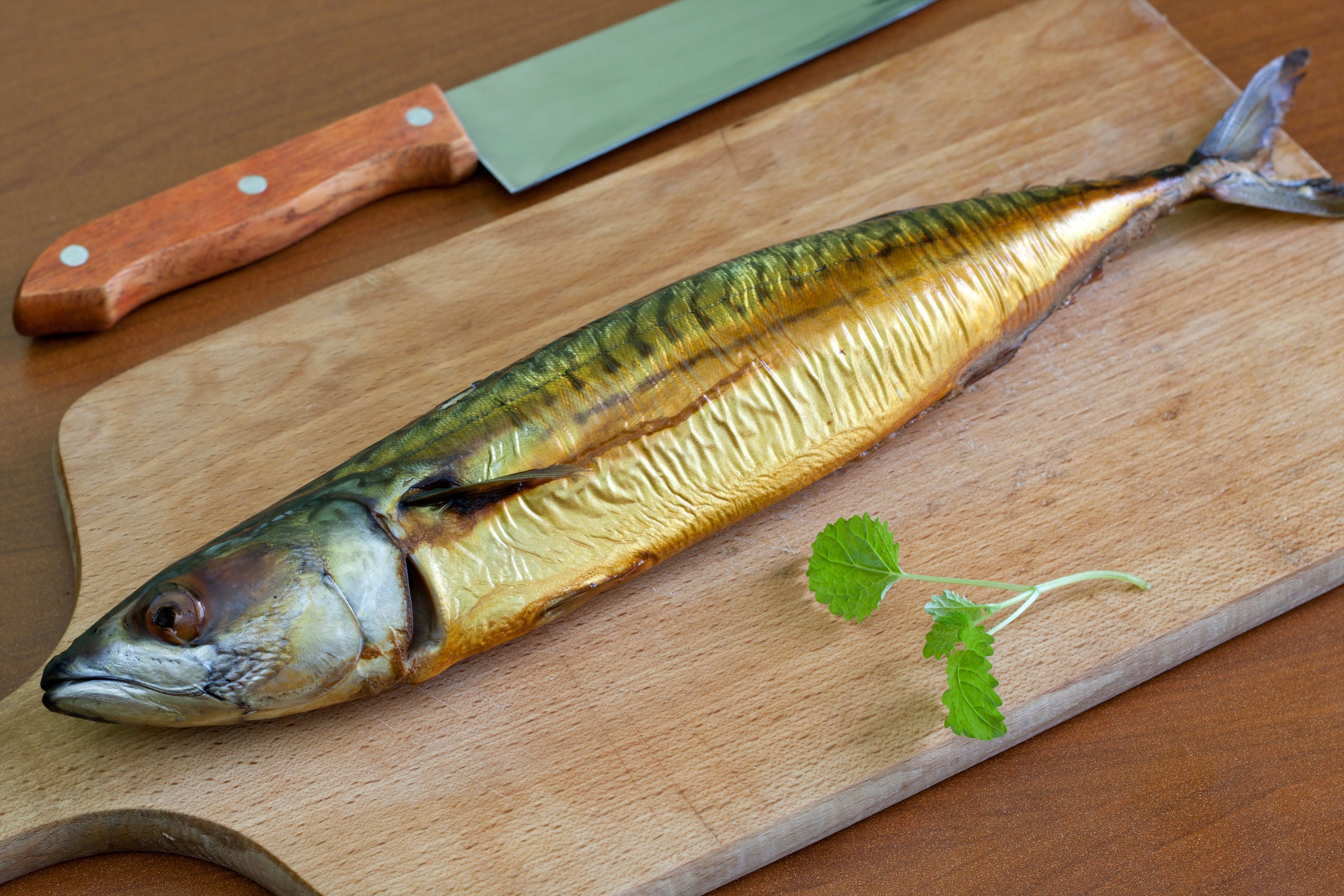 Atlantic true mackerel belongs to a different species of fish to the Chilean jack mackerel
