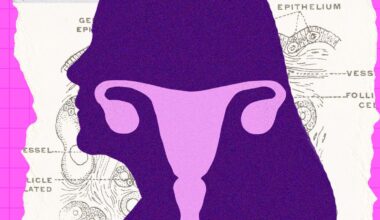 The Ovary Is Surprisingly Active After Menopause. Scientists Are Trying to Figure Out Why