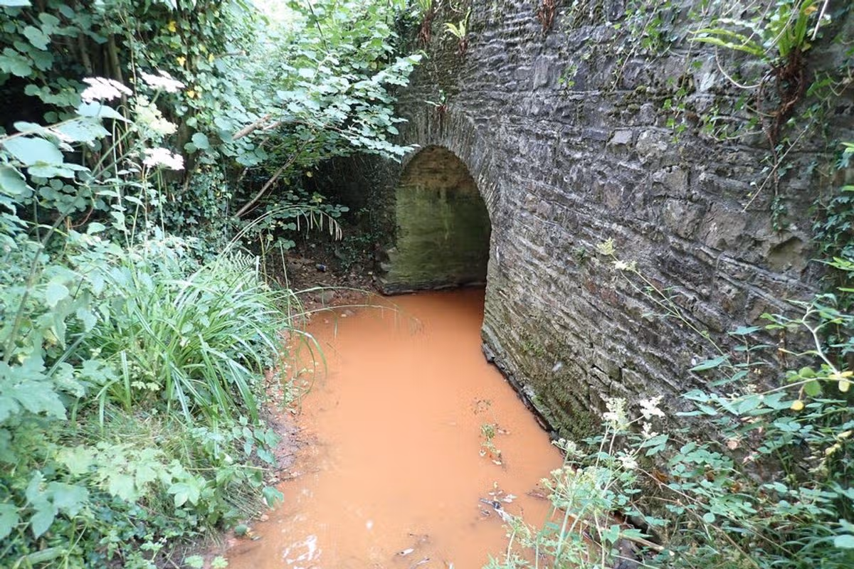 The Tanhouse stream after silt entered the watercourse