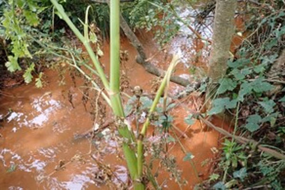 Silt blasted out the drains of a housing development in Yate polluted the nearby watercourse
