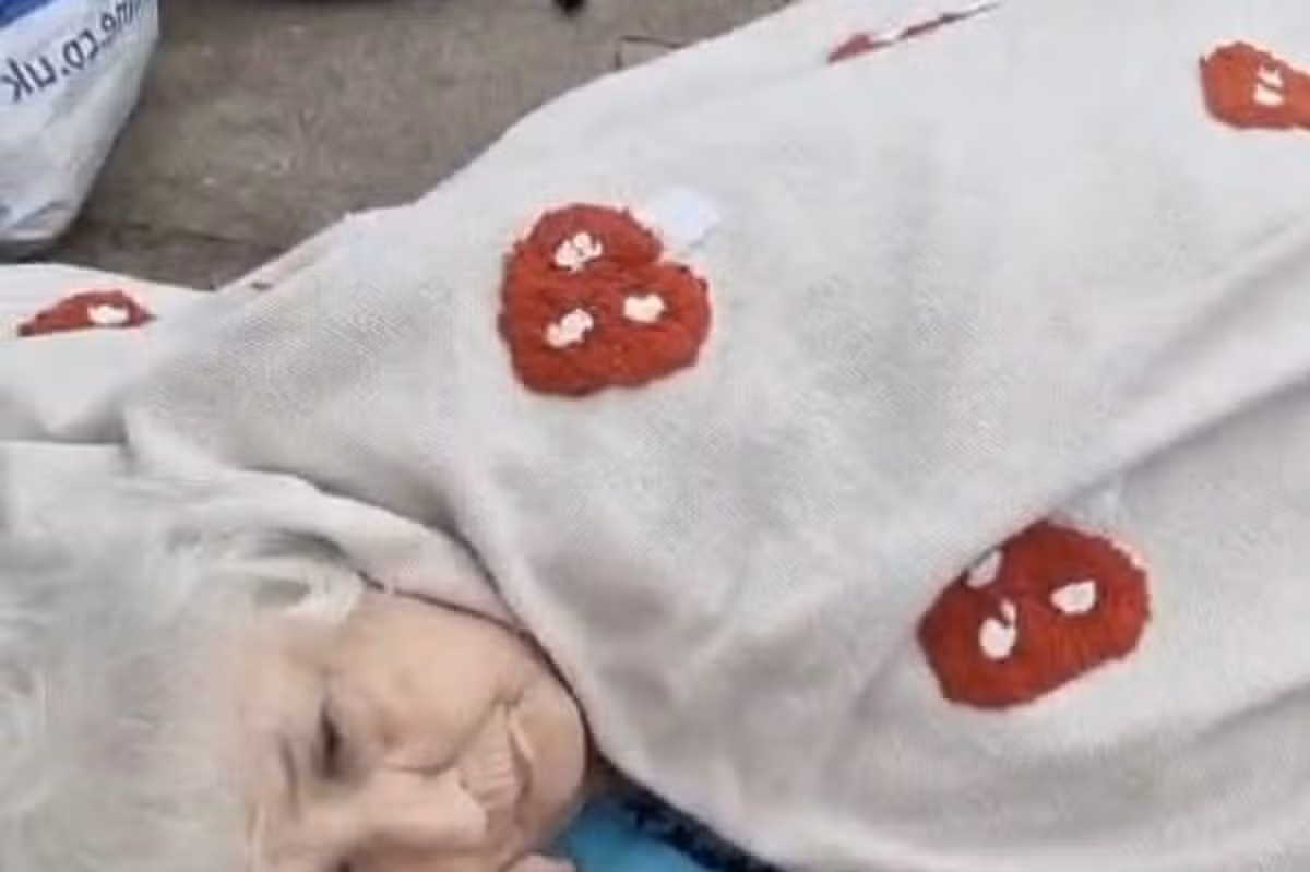 77-year-old Lynda Hill was left lying in the street for five hours with a broken hip while waiting for an ambulance to arrive