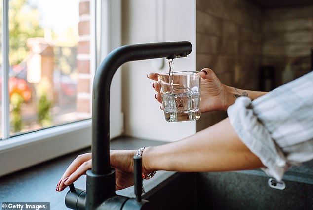 While social media promotes water filters and remineralisers, Ulloa says regular tap water will do just fine.