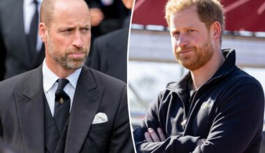 Prince William 'will be watching' estranged brother Harry 'closely' following UK return