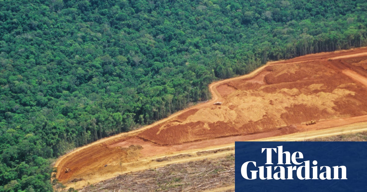 UN warns of ‘narrowing window’ to restore world’s forests | Trees and forests