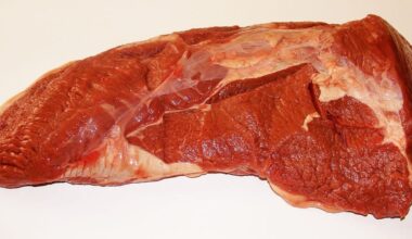 Unions renew call for UK to ban meat from Brazil