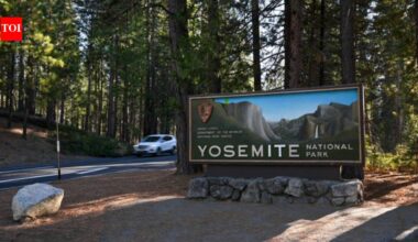 In 2024, a developer paid $4 million for 83 acres outside Yosemite; two years later the US is considering a land swap for a private access road through the park