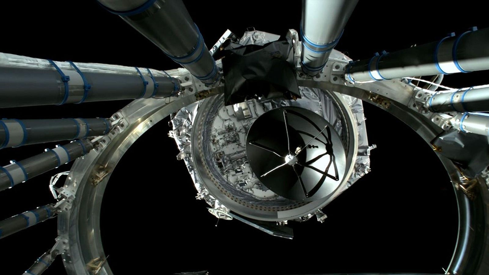 The Roman Space Telescope: The power of science and the bankruptcy of capitalism