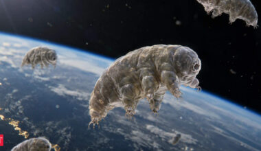 In 2007, ESA sent 3,000 tardigrades into low Earth orbit; after 10 days of vacuum and UV-A/UV-B exposure, 68% revived upon rehydration