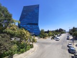 Daylight samples, ultrawide camera (0.5x) - 13mm, f/2.2, ISO 100, 1/775s (3264x2448px) - Motorola Edge 70 Max review