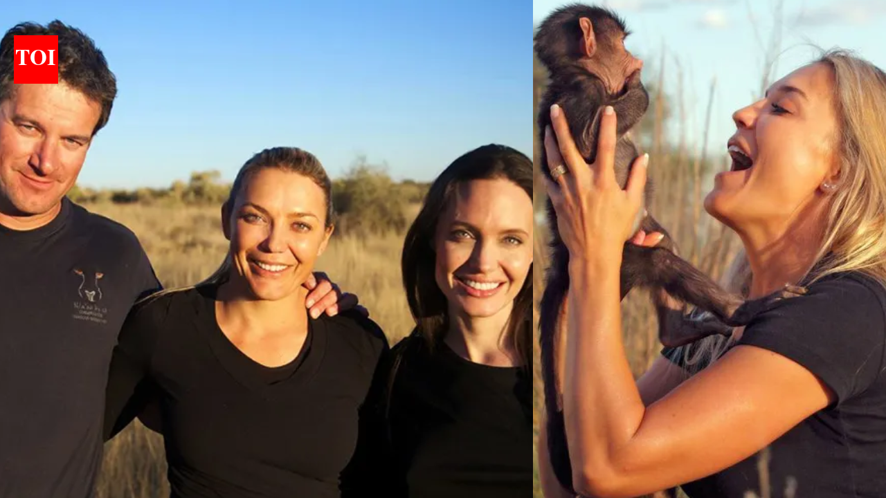 Angelina Jolie-backed wildlife sanctuary is fighting to save 217 animals in Namibia; lions, leopards and African wild dogs are at the centre﻿ | World News