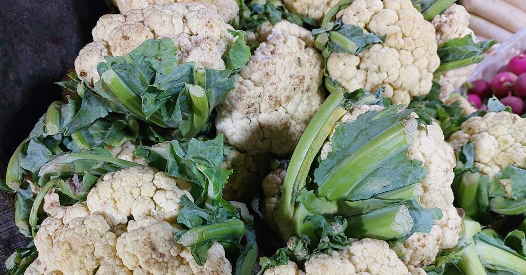 Rainfall helps UK brassicas recover after ‘disastrous’ summer | News