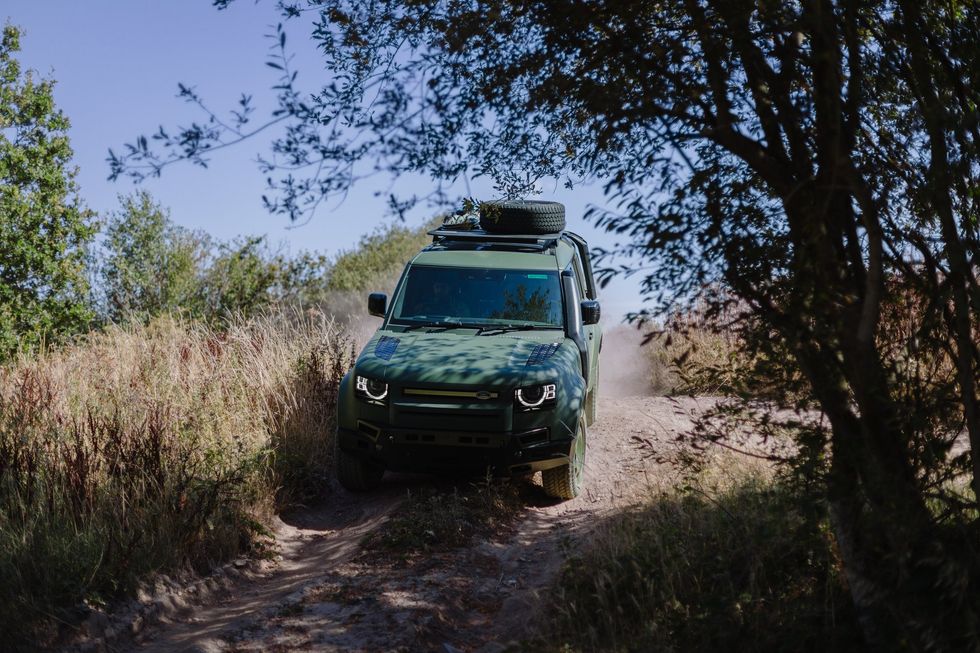 The Defender Wolf Series II