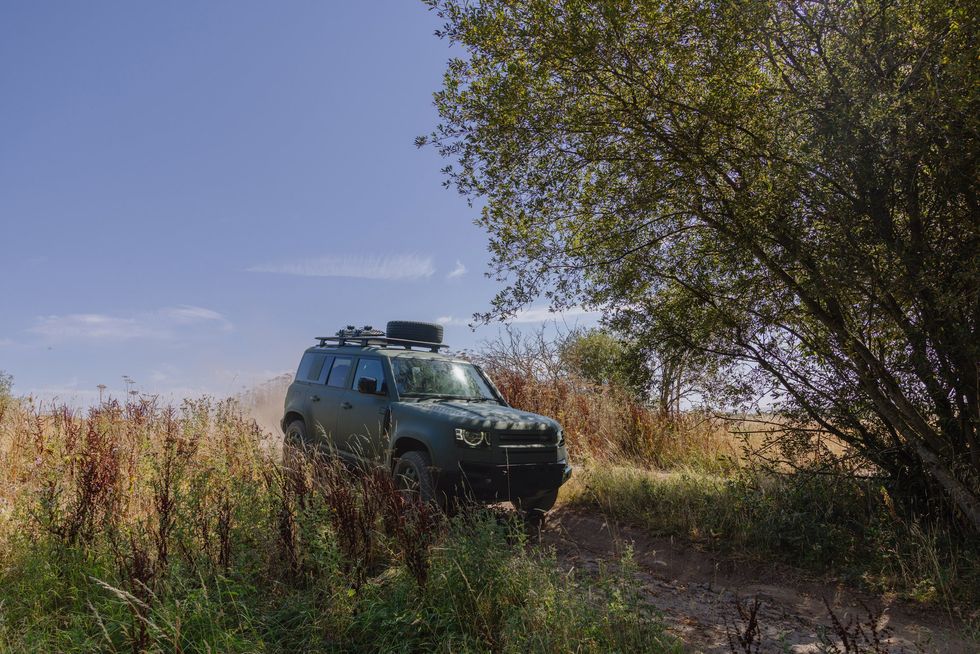 The Defender Wolf Series II