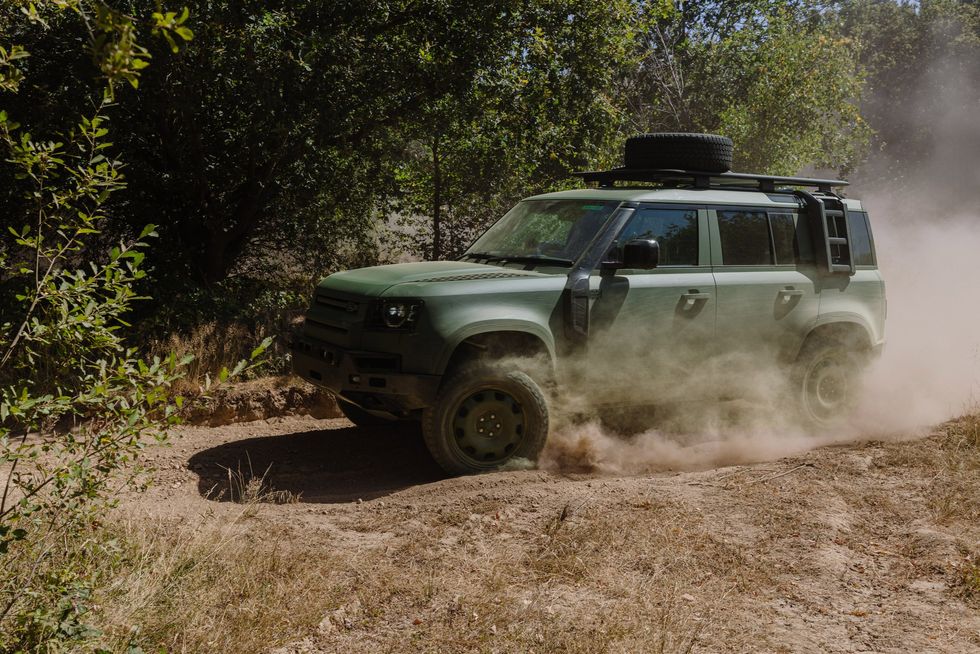 The Defender Wolf Series II