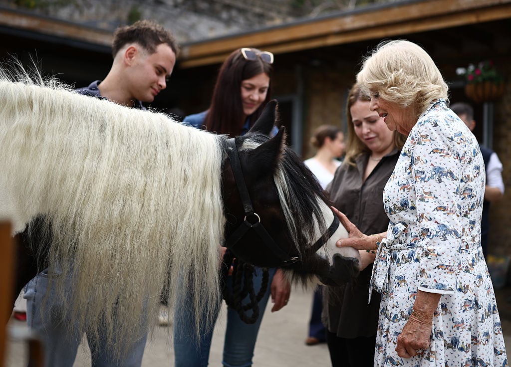 A person pets a horse as other people look on.
