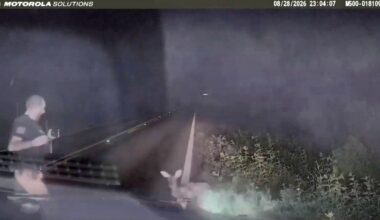 Deer startles East Texas deputy in viral dashcam video