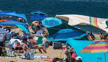 Cape Cod's great white sharks are turning the area into an ecotourism hub