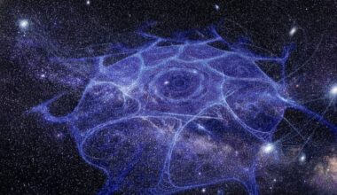Dark Matter Cosmic Web Concept
