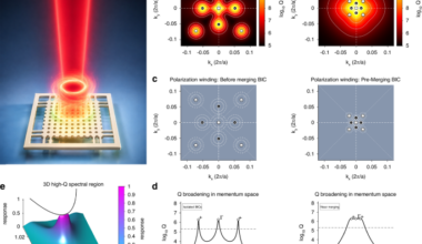 Single-mode lasers before the merger