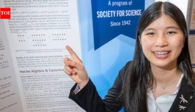 Meet Rachel Chen, the 18-year-old Los Angeles student who expanded a 1997 quantum-math idea to describe entire particle systems with simple diagrams; she won $100,000