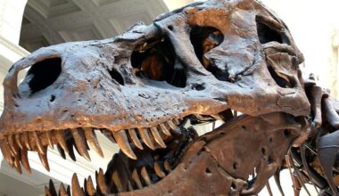 Archaeology discovery: Scientists find feathers that shine light on 66 million-year-old dinosaur mystery