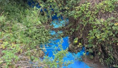 ‘Do not swim’ warning issued after polluted river turns bright blue at UK beauty spot