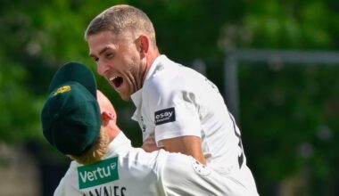 NCCC News : STONE: I'M LOVING MY CRICKET AT THE MOMENT