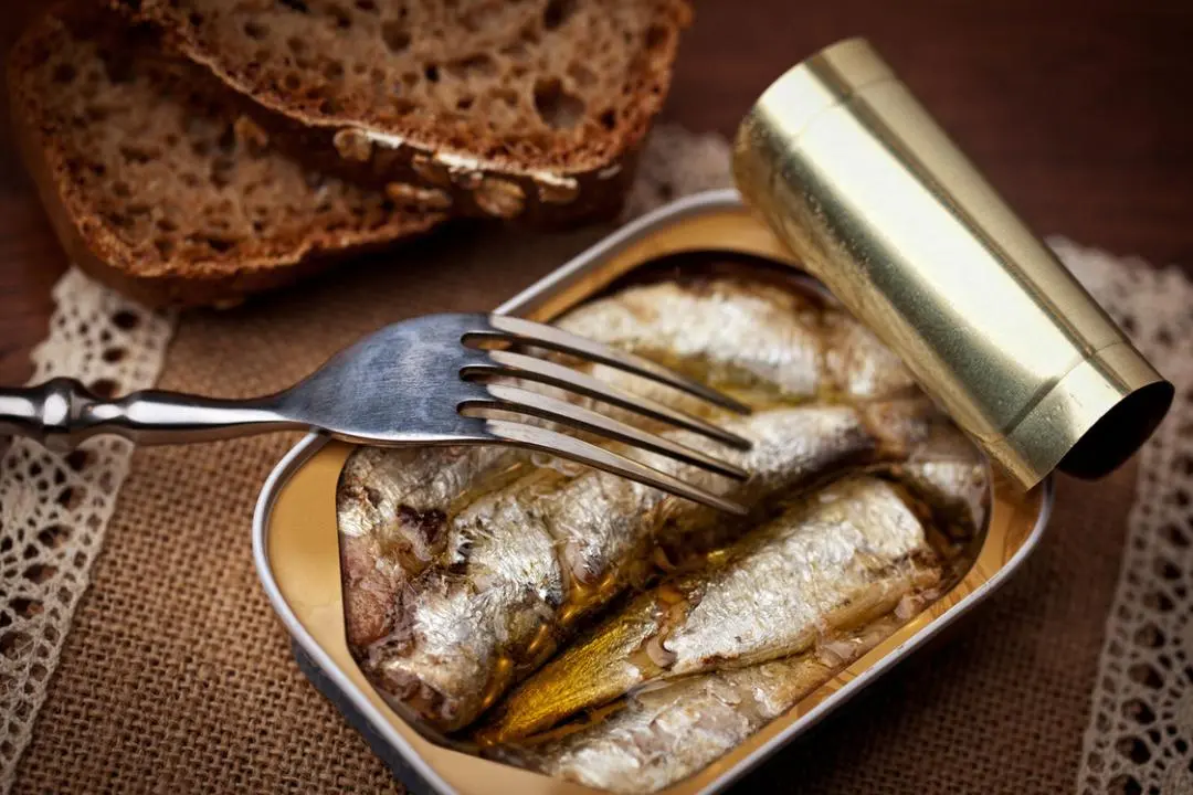 Canned sardines: here is the ideal frequency for truly enjoying them.