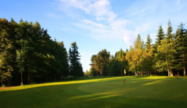 This will convince you to become a golf club member