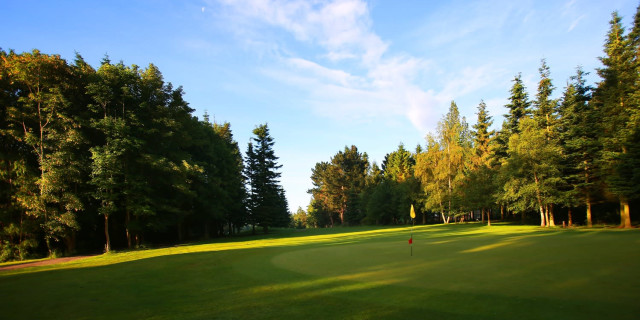 This will convince you to become a golf club member