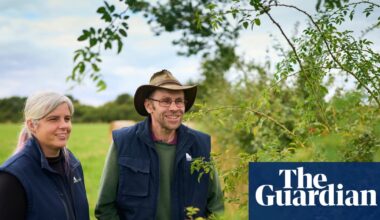 ‘It’s really taking off’: hedge revival as farmers rediscover ancient tools | Farming
