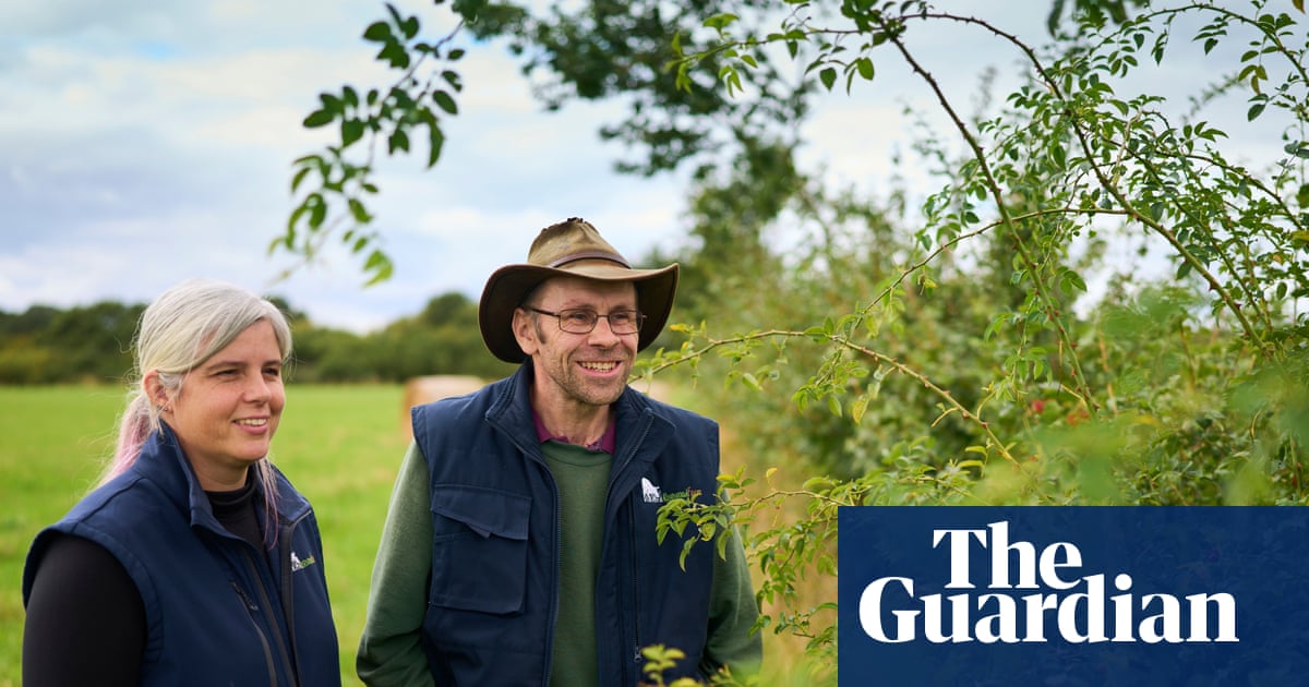 ‘It’s really taking off’: hedge revival as farmers rediscover ancient tools | Farming