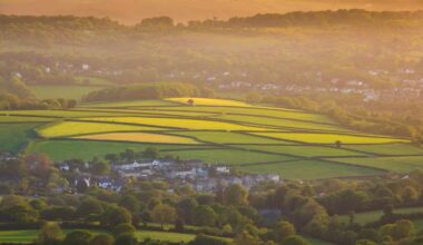 Devon Live