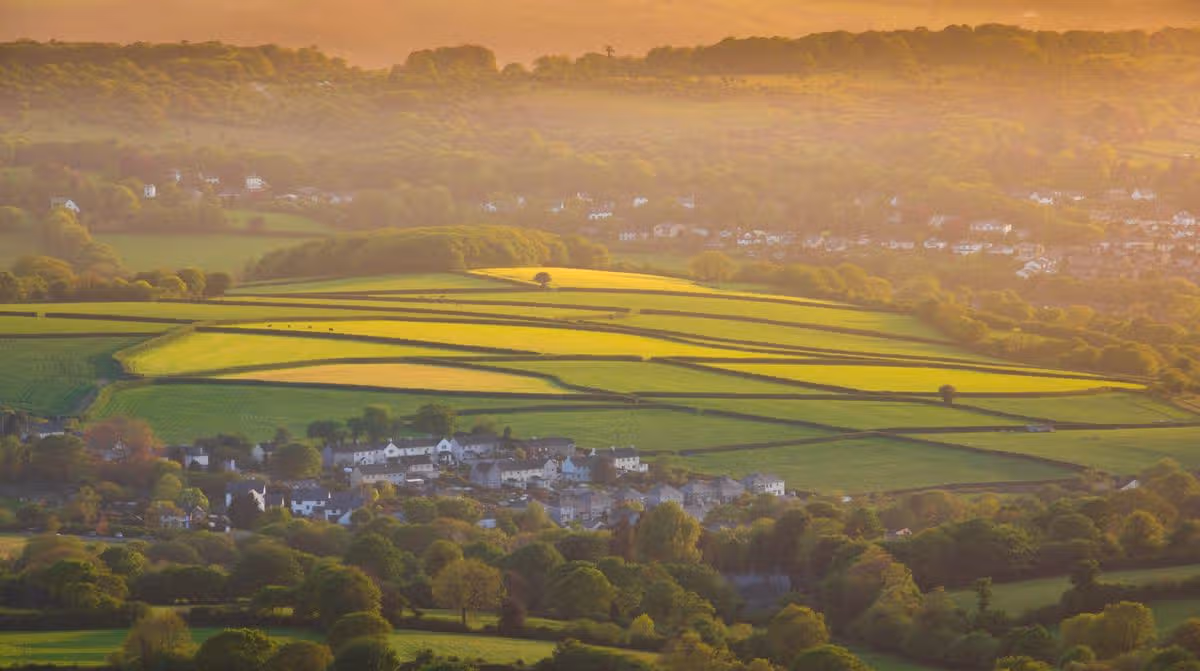 Devon Live