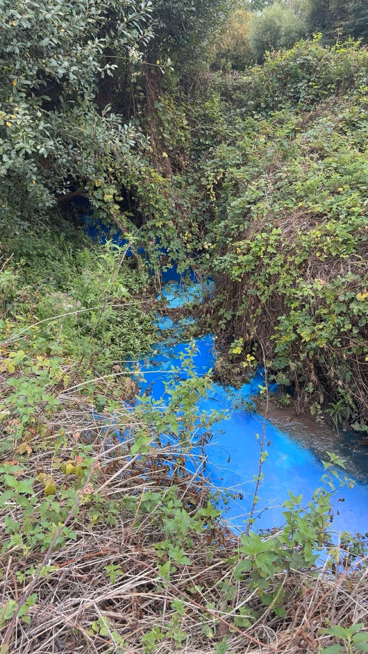 Littleham Brook in Exmouth