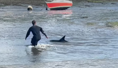 Cornwall Live