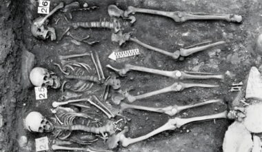 Plague after the Black Death returned in waves across Europe for centuries, ancient DNA shows