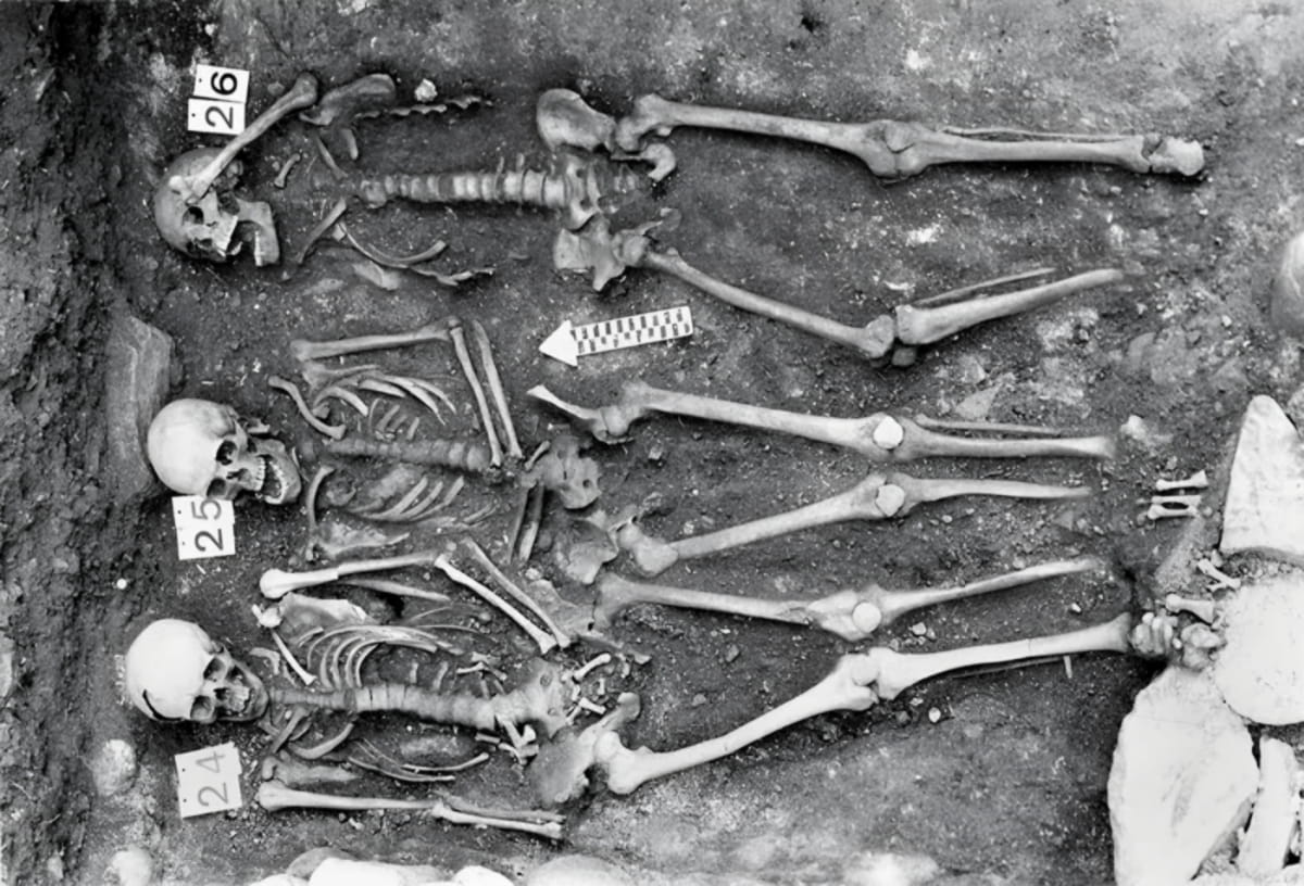 Plague after the Black Death returned in waves across Europe for centuries, ancient DNA shows