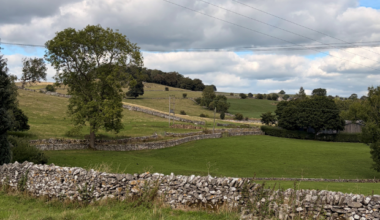 Fields divided by drystone walls and rows of trees in the Peak District
