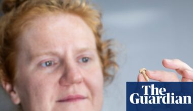 Glimpses into lives of Roman suburbanites in Bath revealed in rare finds | Archaeology