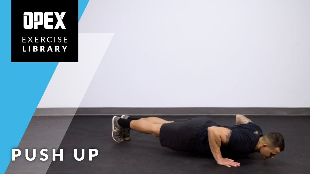 Push Up - OPEX Exercise Library - YouTube