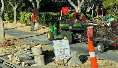 Las Vegas is replacing grass in some of its parks with fake turf to save water