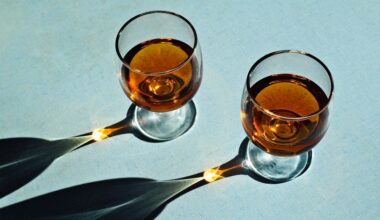 Why Alcohol Makes You More Tired As You Get Older