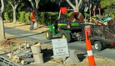 Las Vegas is tearing out some grass in parks throughout the city to combat drought