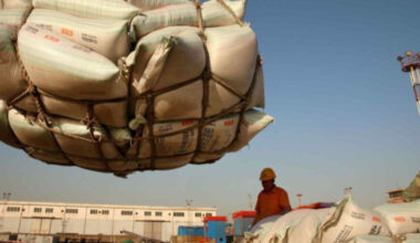 China flaunts purchasing power with soybean buys ahead of US midterms