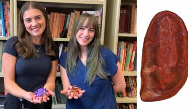 Newly Identified Frog-like Creature Named by Student Scientists After Their Moms